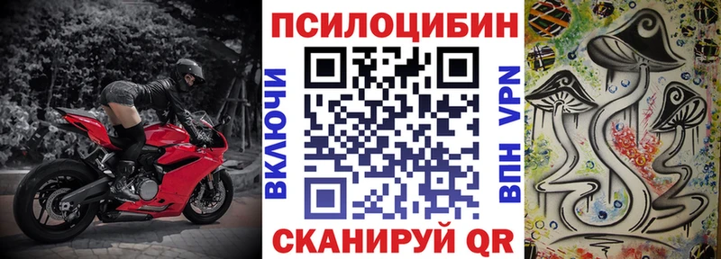 Галлюциногенные грибы GOLDEN TEACHER  где продают наркотики  это как зайти  Магас  кракен ТОР 