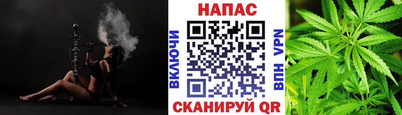 МАРИХУАНА план  Магас 